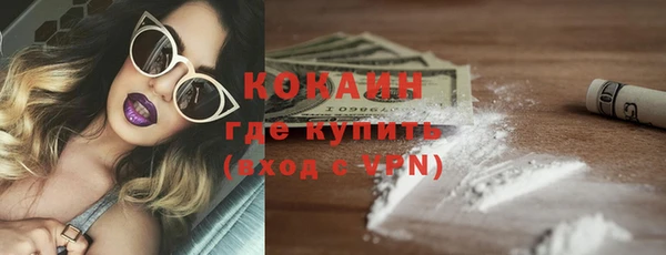 сатива Гусиноозёрск